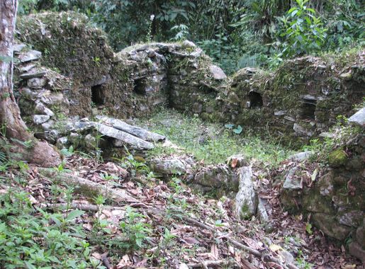 File:Espiritu Pampa Archaeological site - overgrown house.jpg - Wikimedia  Commons
