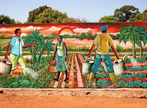 Free Images : farm, africa, agriculture, art, playground, mural, murals,  rural area, burkina faso 3072x2048 - - 1009067 - Free stock photos - PxHere