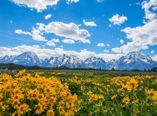 Grand Teton National Park photo 3