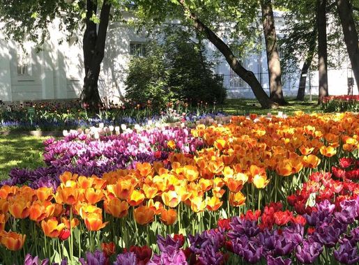 File:Flowers in the garden of Yelagin Island.jpg - Wikimedia Commons