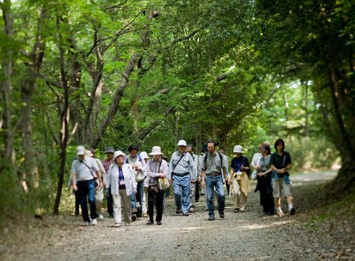 Japanese citizens take enviromental tour > Pacific Air Forces > Article  Display