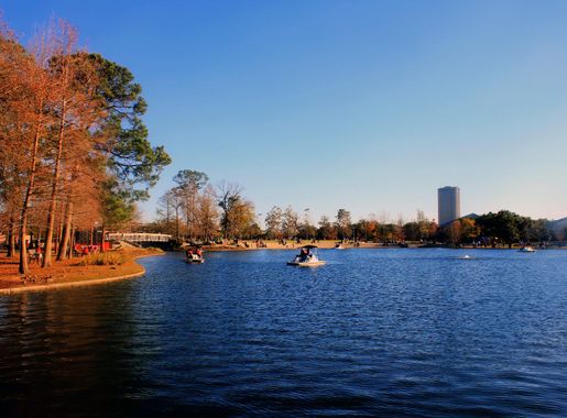Lake at Hermann Park in Houston, Texas image - Free stock photo - Public  Domain photo - CC0 Images