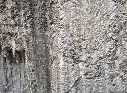 File:Windley Key fossil 1.JPG - Wikimedia Commons