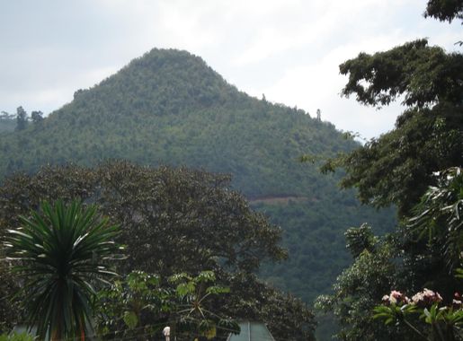 File:WondoGenetMountainView.jpg - Wikimedia Commons
