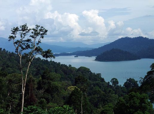File:Kenyir Lake 2.JPG - Wikimedia Commons