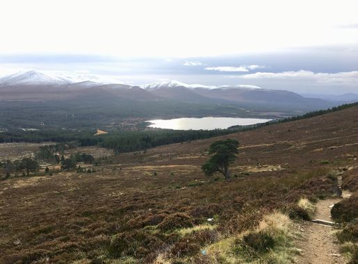 File:Meall a'Bhuachaille (Caingorms National Park).jpg - Wikimedia Commons