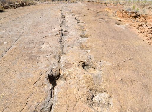 File:Dinosaur footprints in ToroToro Bolivia.jpg - Wikimedia Commons