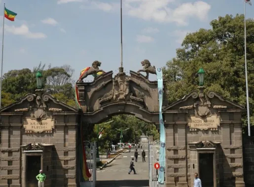 Palazzo Guenete Leul - Wikipedia