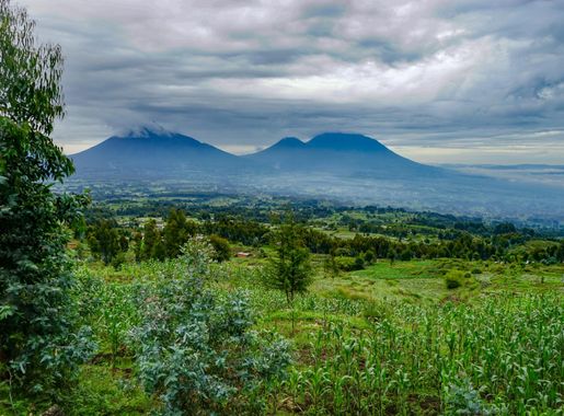 File:Volcanoes National Park Rwanda.jpg - Wikimedia Commons