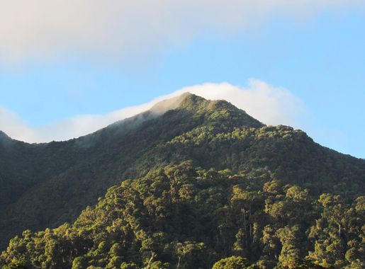 Archivo:La Amistad Panama Biosphere Reserve - Parque Nacional Volcan Baru  (a core zone) 39.JPG - Wikipedia, la enciclopedia libre