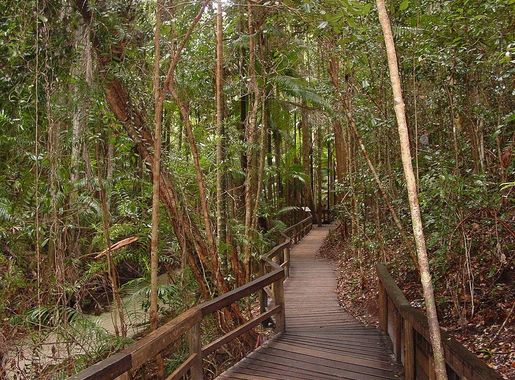 File:Central Station on Fraser Island.jpg - Wikimedia Commons