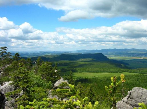 File:Widoczek 10062005 2.jpg - Wikimedia Commons