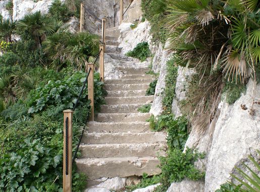 File:Gibraltar nature trail.jpg - Wikimedia Commons