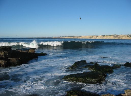 File:LaJolla California.JPG - Wikimedia Commons