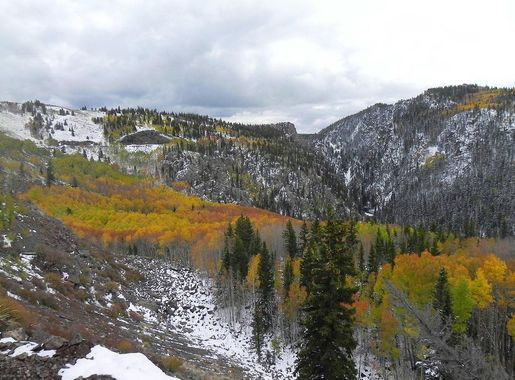 Datei:Aspens along Toltec Gorge - panoramio.jpg – Wikipedia