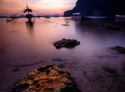 silhouette bird flying yellow sky | Free Photo - rawpixel