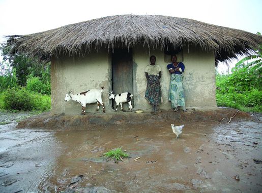 File:ILRI, Stevie Mann - Household takes refuge from the rain in central  Malawi.jpg - Wikimedia Commons