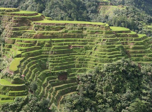 File:Banaue-terrace.JPG - Wikimedia Commons