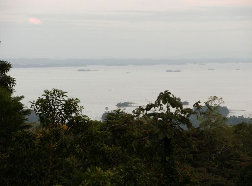 File:Suriname, view over Brokopondo reservoir from Brownsberg.JPG -  Wikimedia Commons