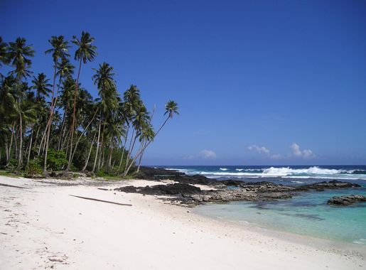 Free Images : coast, ocean, horizon, warm, shore, summer, vacation, travel,  tropical, lagoon, bay, body of water, turquoise, holidays, loneliness,  caribbean, exotic, palm trees, tropics, cape, landform, sand beach,  beautiful beach, south