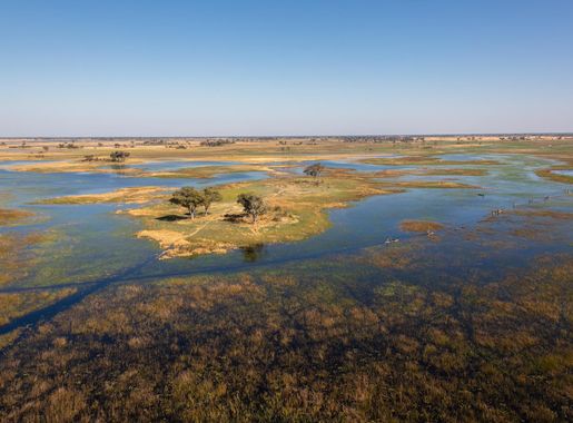 File:Vista aérea del delta del Okavango, Botsuana, 2018-08-01, DD 23.jpg -  Wikimedia Commons