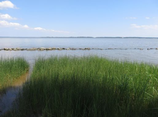 File:Black Point, Jamestown Island Drive, Colonial National Historical Park,  Jamestown, Virginia (14445994923).jpg - Wikimedia Commons