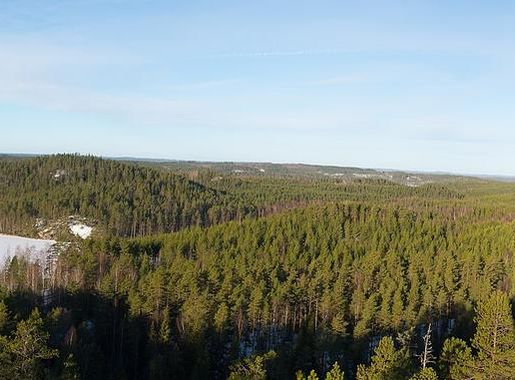 File:Repovesi from Mustanlamminvuori.jpg - Wikimedia Commons