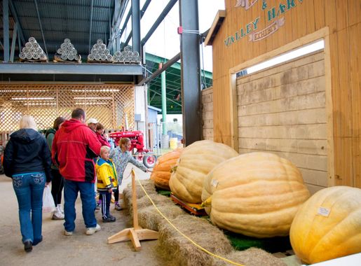 Alaska State Fair > Joint Base Elmendorf-Richardson > Articles