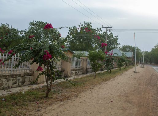 File:University of Maiduguri (UniMaid) garden (7).jpg - Wikimedia Commons