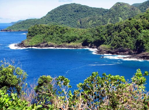 Free Images : beach, landscape, sea, coast, tree, nature, forest, ocean,  mountain, shore, flower, lake, cove, scenic, bay, island, reservoir, body  of water, trees, outside, vegetation, loch, tropics, ecosystem, landform,  geographical feature,