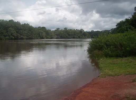 File:Dja River view.JPG - Wikimedia Commons