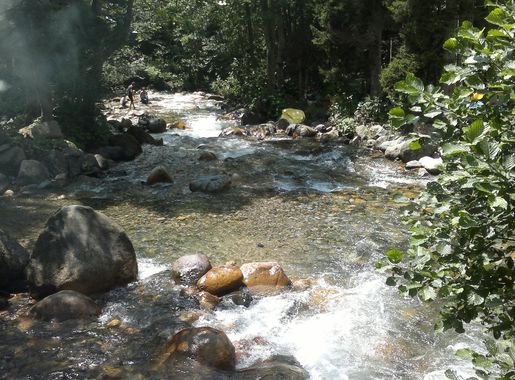 File:53780 Yukarışimşirli-Çamlıhemşin-Rize, Turkey - panoramio.jpg -  Wikimedia Commons