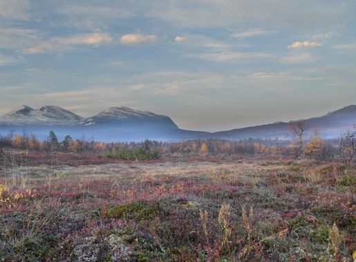 File:Abisko nationalpark i gryningsljuset.jpg - Wikimedia Commons