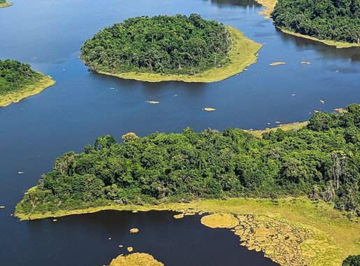 File:Lac Ossa - Réserve de faune du Lac Ossa - Région du Littoral -  Cameroun.jpg - Wikimedia Commons
