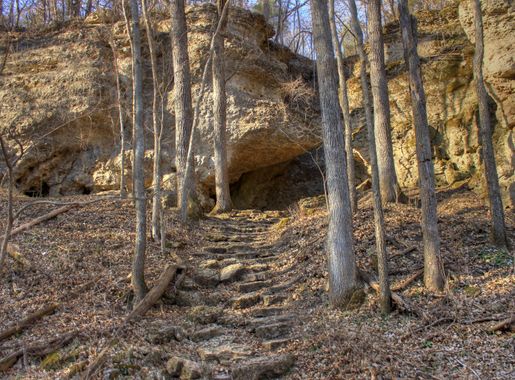 Steps up the Hill at Backbone State Park, Iowa image - Free stock photo -  Public Domain photo - CC0 Images