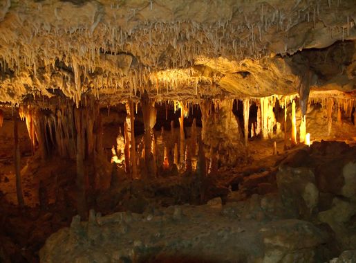 File:Naracoorte-cave.jpg - Wikimedia Commons