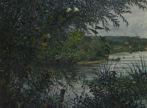 Forest Lake Images | Free Photos, PNG Stickers, Wallpapers & Backgrounds -  rawpixel