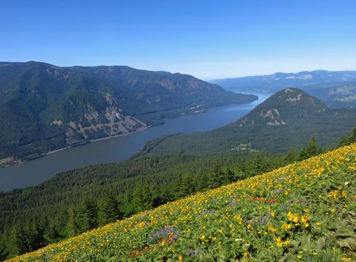 File:Dog Mountain at Columbia River Gorge in Washington 1.jpg - Wikimedia  Commons