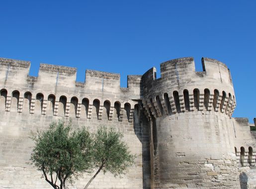 File:Muraille Avignon.JPG - Wikimedia Commons