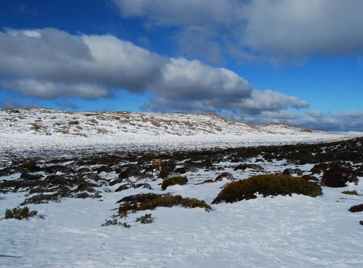 File:Ben Lomond snow fields.JPG - Wikimedia Commons