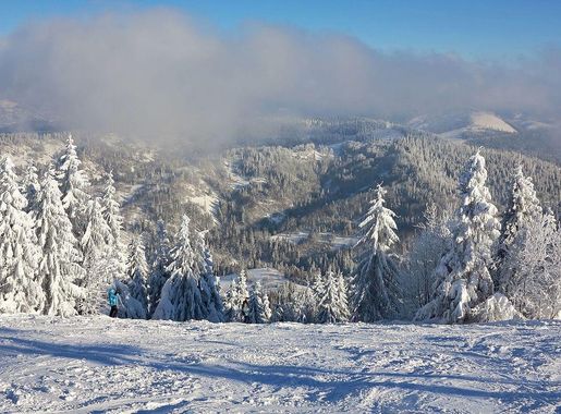 File:Trostian Mnt Top View.jpg - Wikimedia Commons