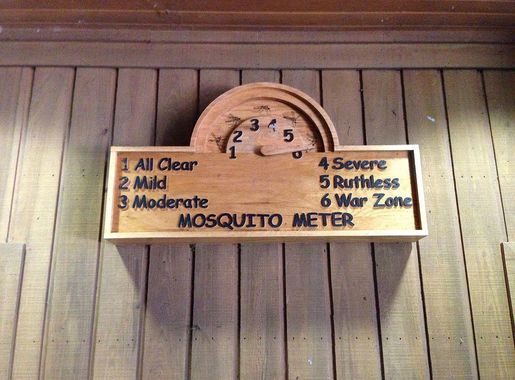 File:Congaree National Park South Carolina Mosquito Meter.JPG - Wikimedia  Commons