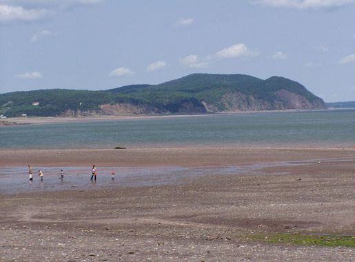 File:Fundy National Park of Canada 6.jpg - Wikimedia Commons
