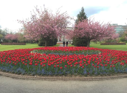 File:Alexandra Gardens, Cathays Park.  Cardiffgeograph-4928102-by-Alan-Hughes.jpg - Wikimedia Commons