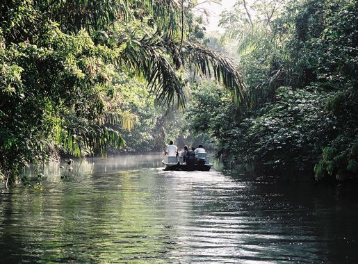 File:Tortuguero boat trip.JPG - Wikipedia