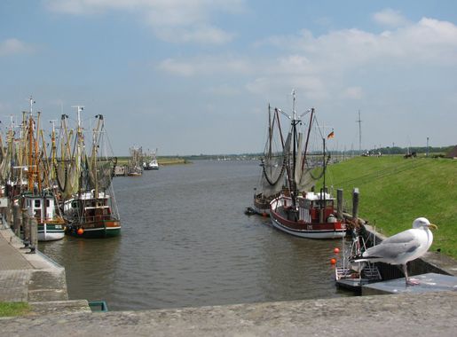 File:Hafen Greetsiel mit Kutterflotte.JPG - Wikimedia Commons
