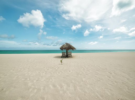 File:Antigua Barbuda (52845512).jpeg - Wikimedia Commons