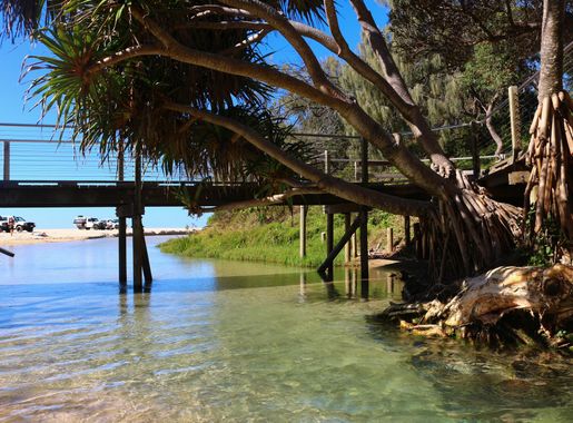 File:Australia, Queensland, Fraser Island, Eli Creek, mouth.jpg - Wikimedia  Commons