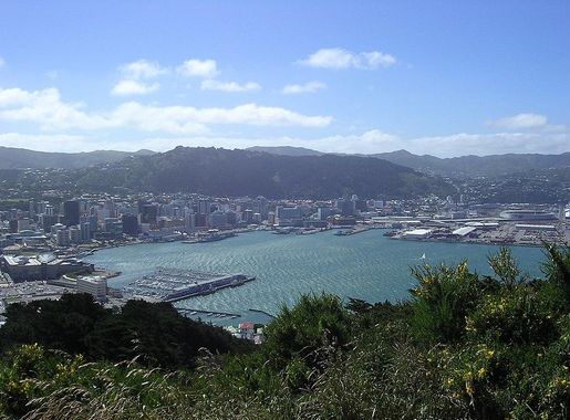 File:Wellington.JPG - Wikimedia Commons