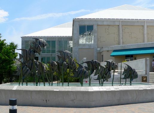 File:NCAquarium-27527-2.jpg - Wikimedia Commons